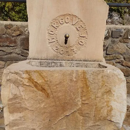 Canadina 2 Morgovejo